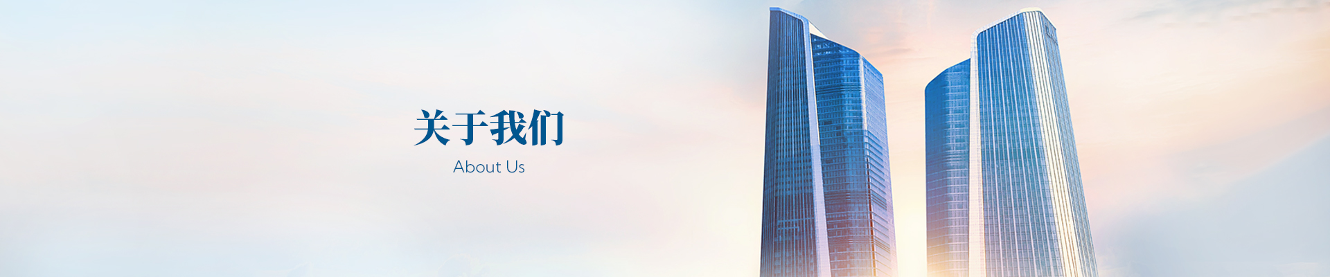 公司简介
