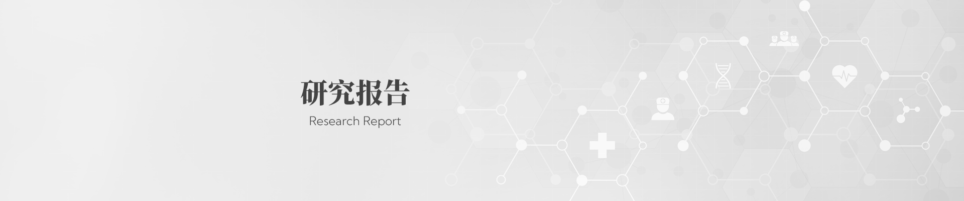 研究报告